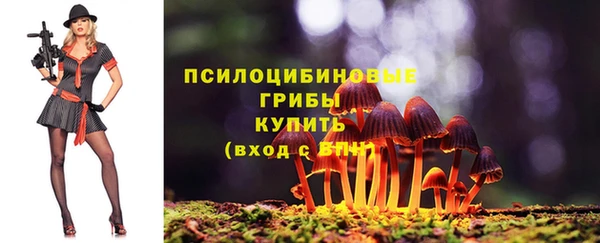 марки lsd Каменногорск