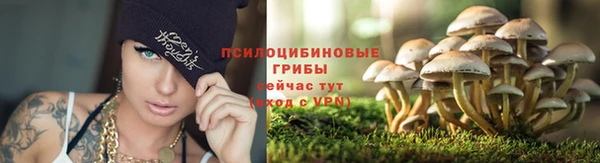 а пвп мука Каменка