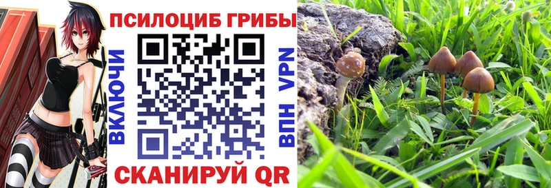 Купить закладки  Дрезна  Псилоцибиновые грибы ЛСД 